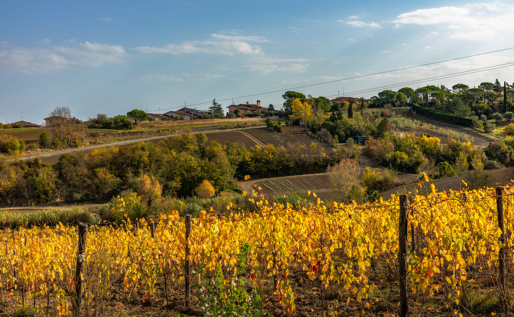 Herbstgold in der Toskana 