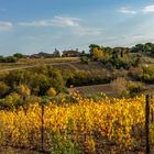 Herbstgold in der Toskana 