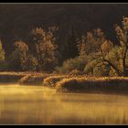 Herbstgold (Pano)