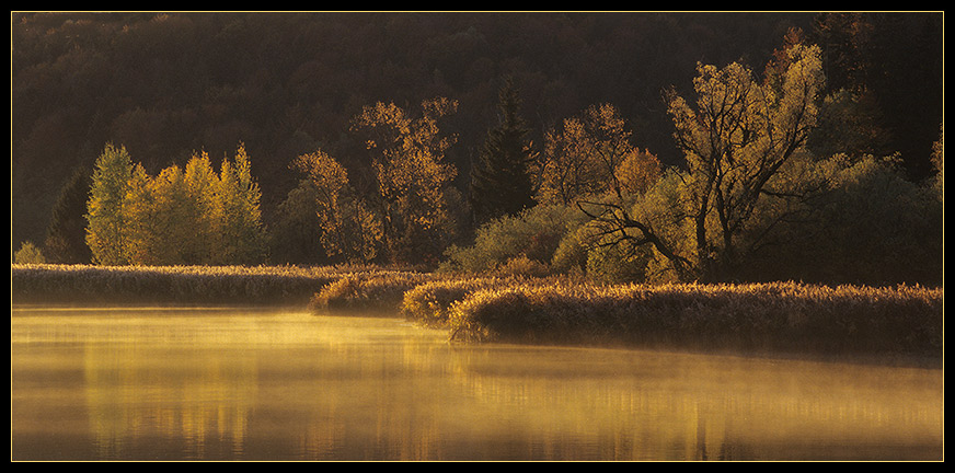 Herbstgold (Pano)