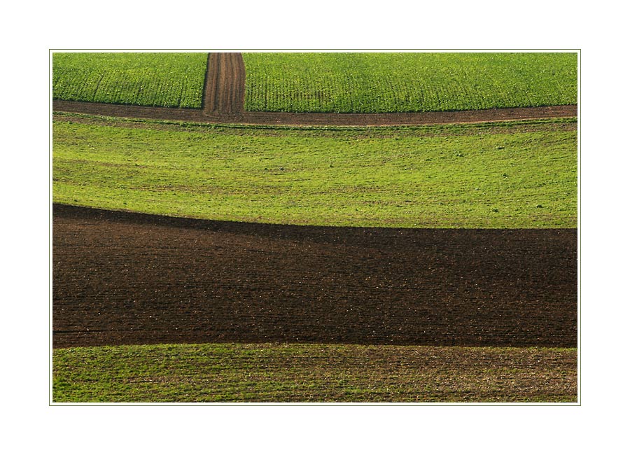 Herbstgrün