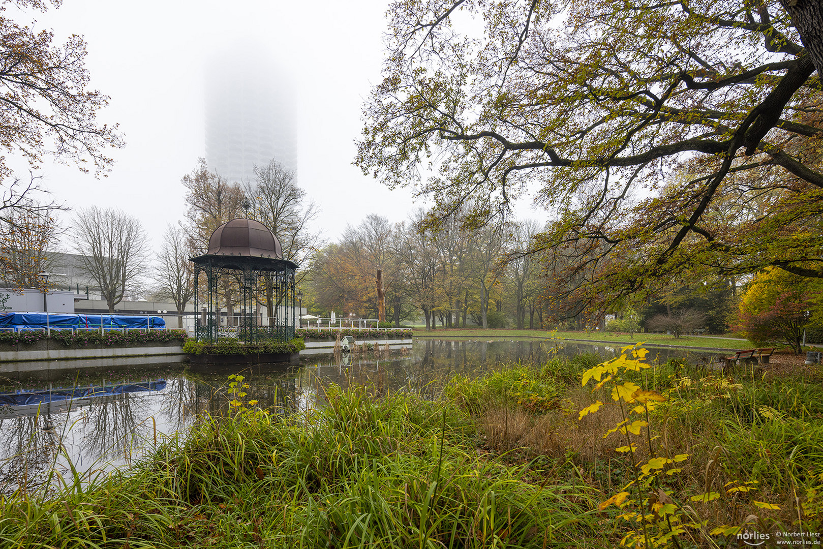 Herbstgrün