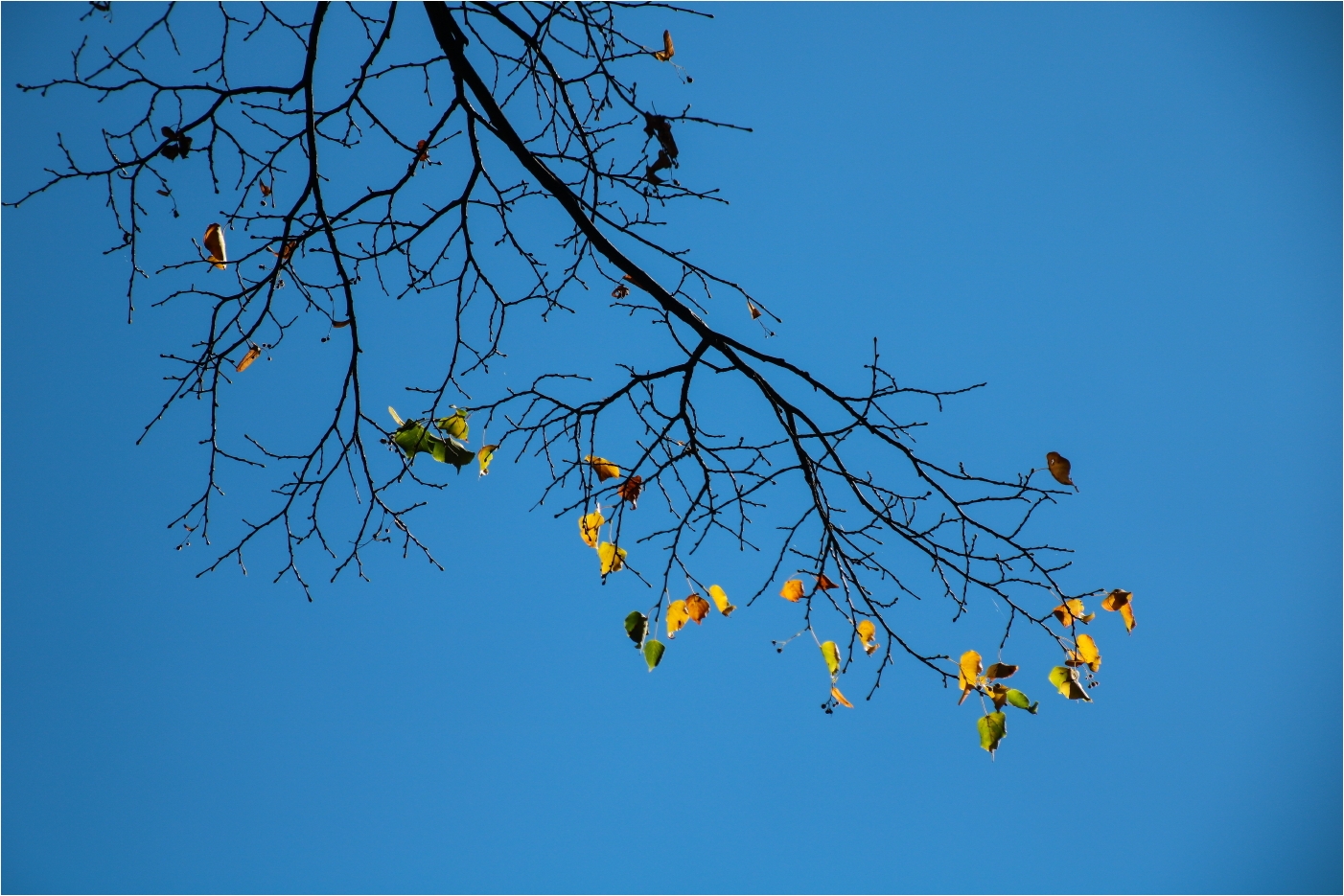 Herbstgrüße