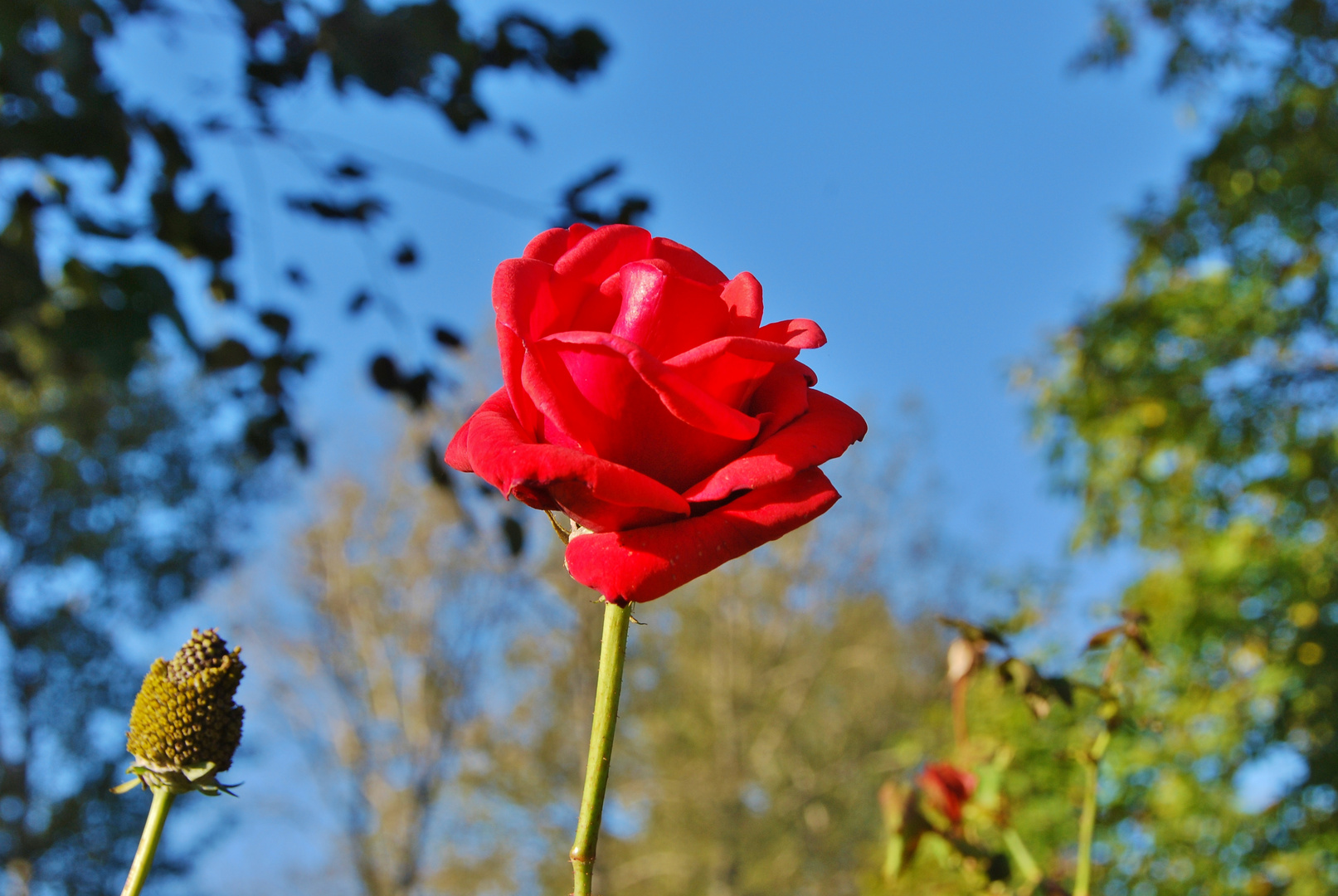 Herbstgrüße 3