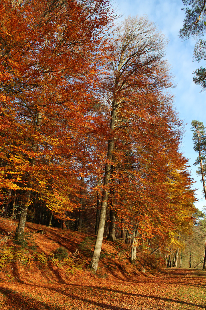 Herbstgrüße