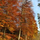 Herbstgrüße