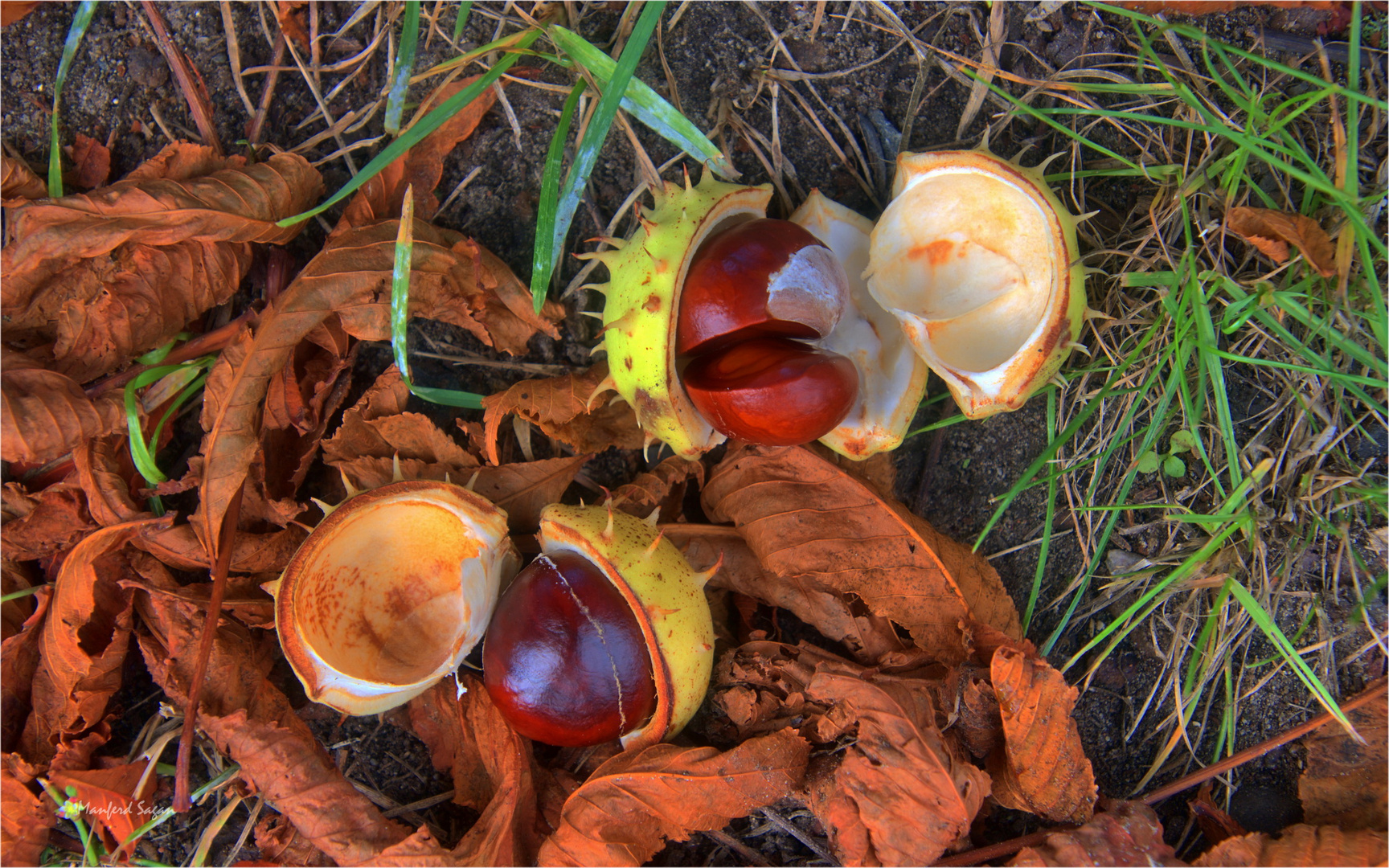 Herbstgrüße