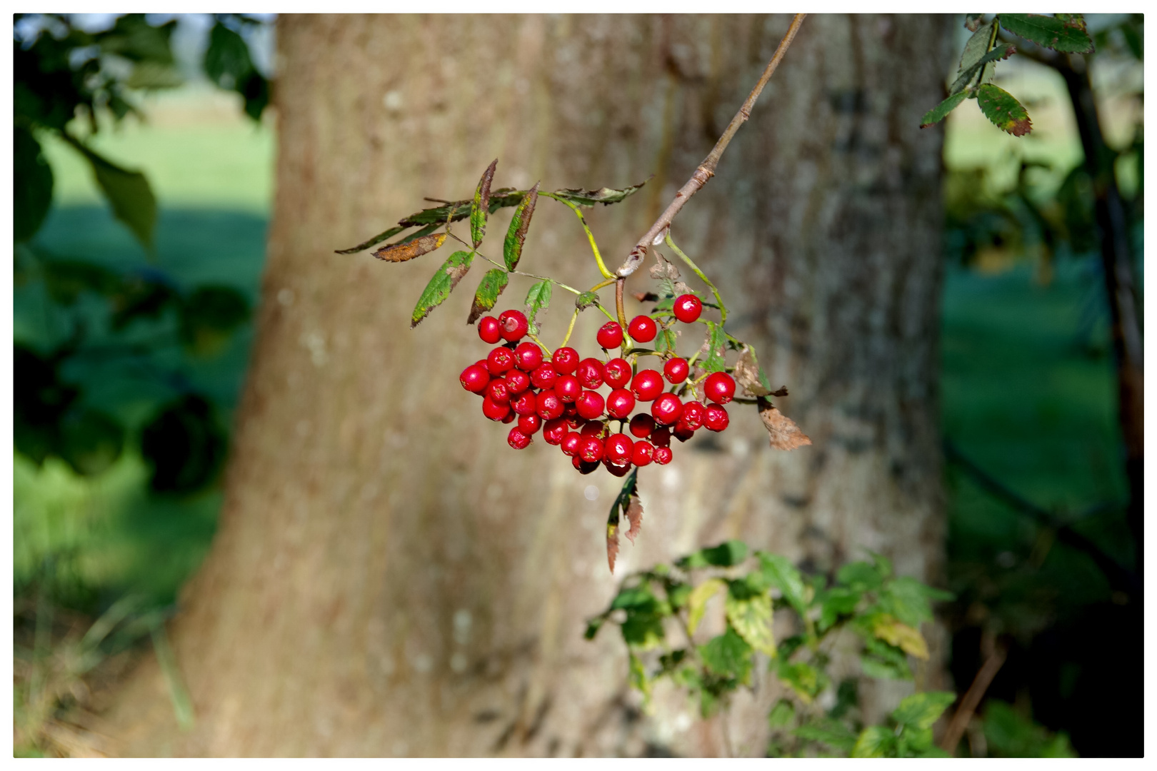 Herbstgrüße