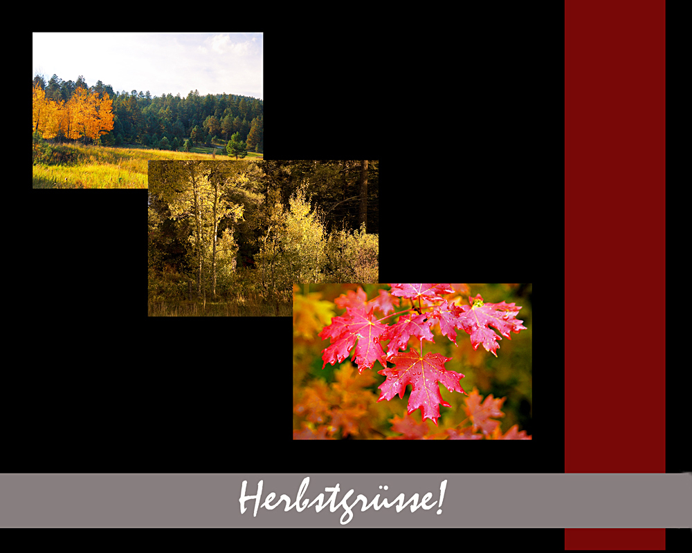 Herbstgruesse aus den Sacramento Mountains