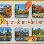 Herbstgrüße aus Köpenick 