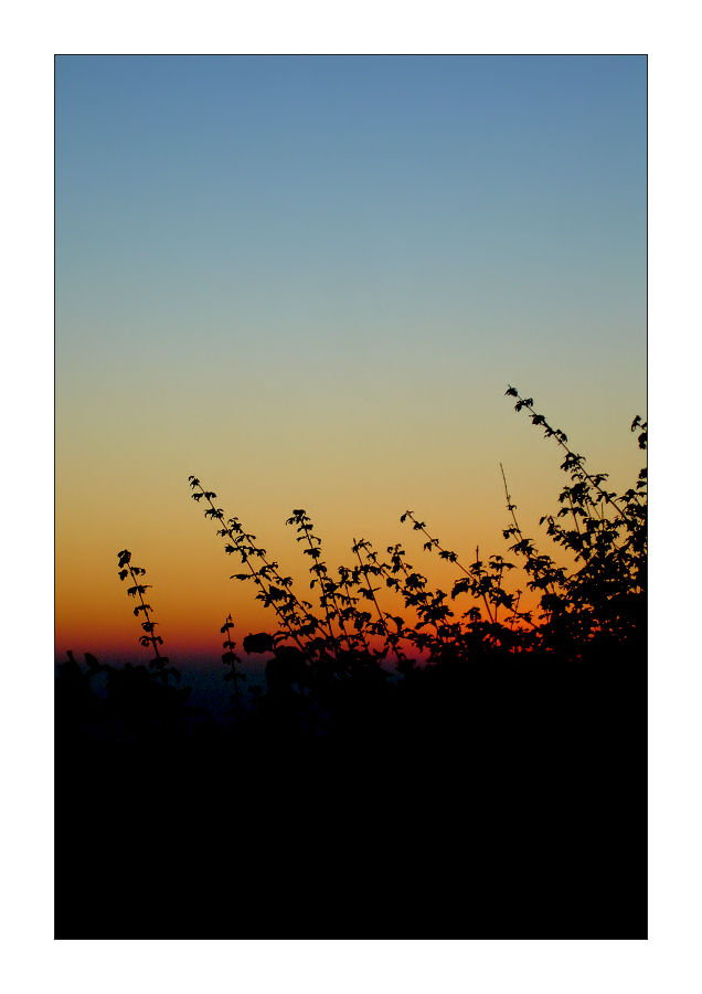 herbstgrüsse