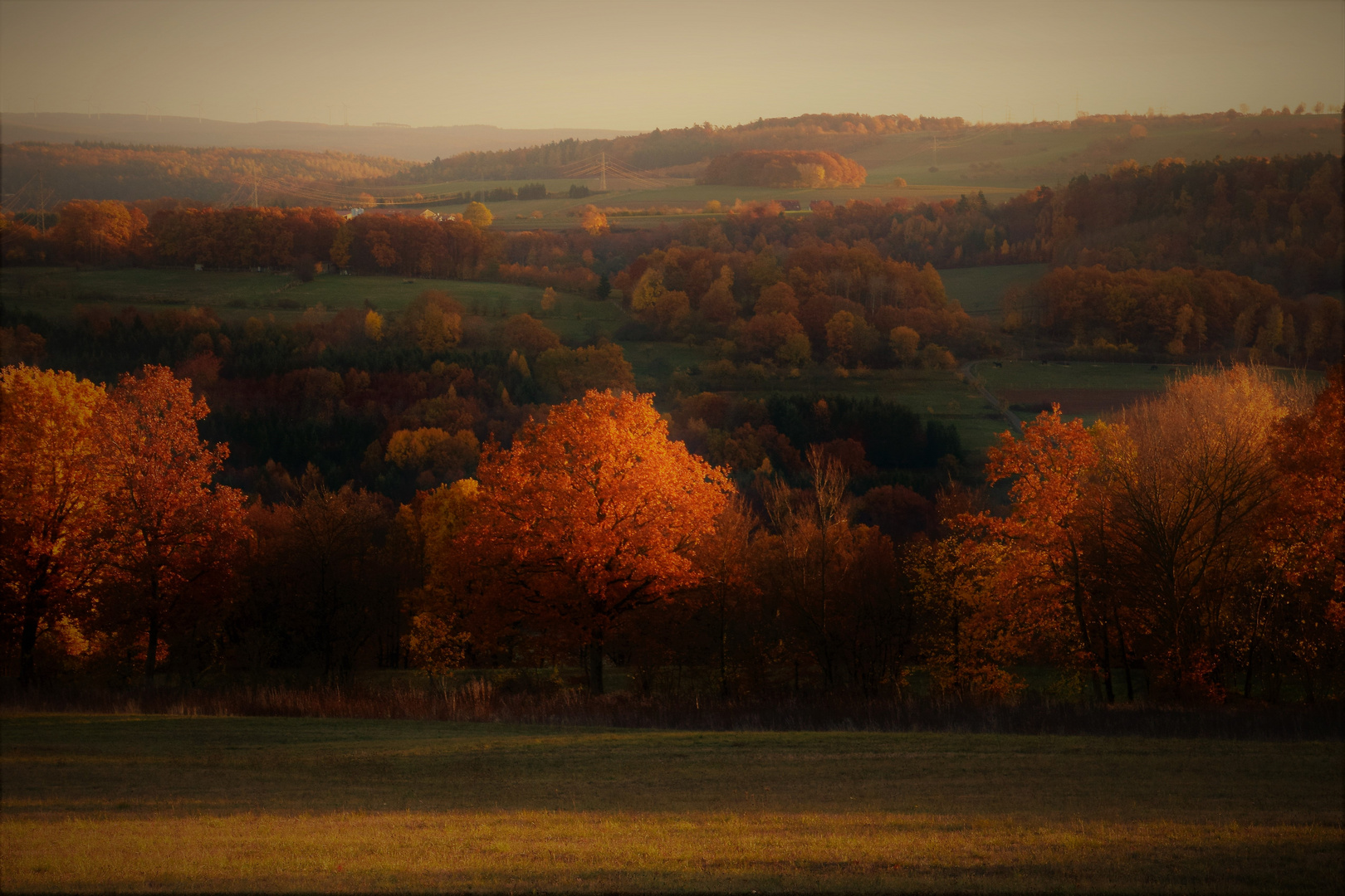 Herbstgrüsse ....... 