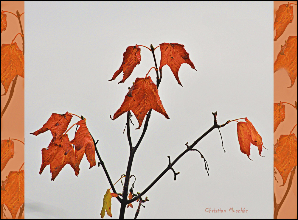 Herbstgrüße