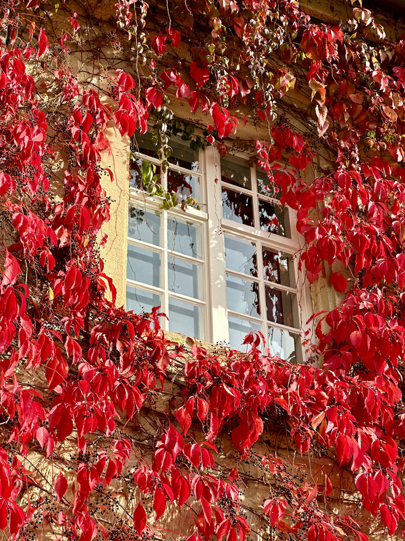 Herbstgrüße