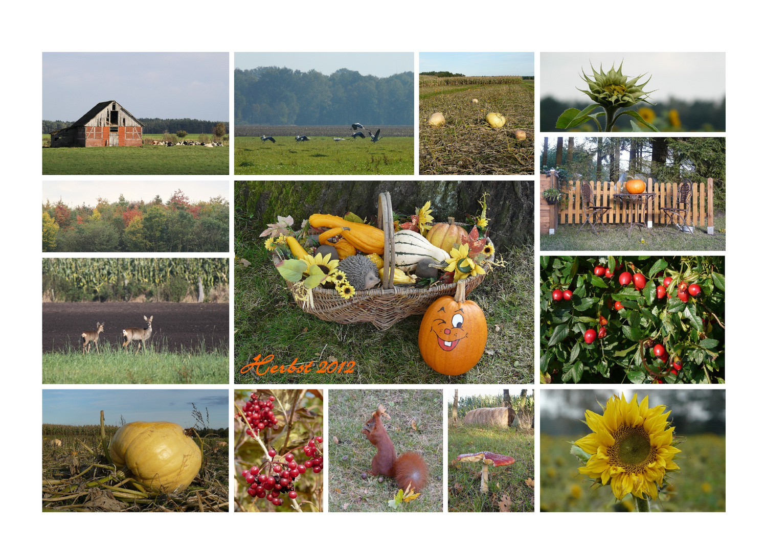 Herbstgrüße