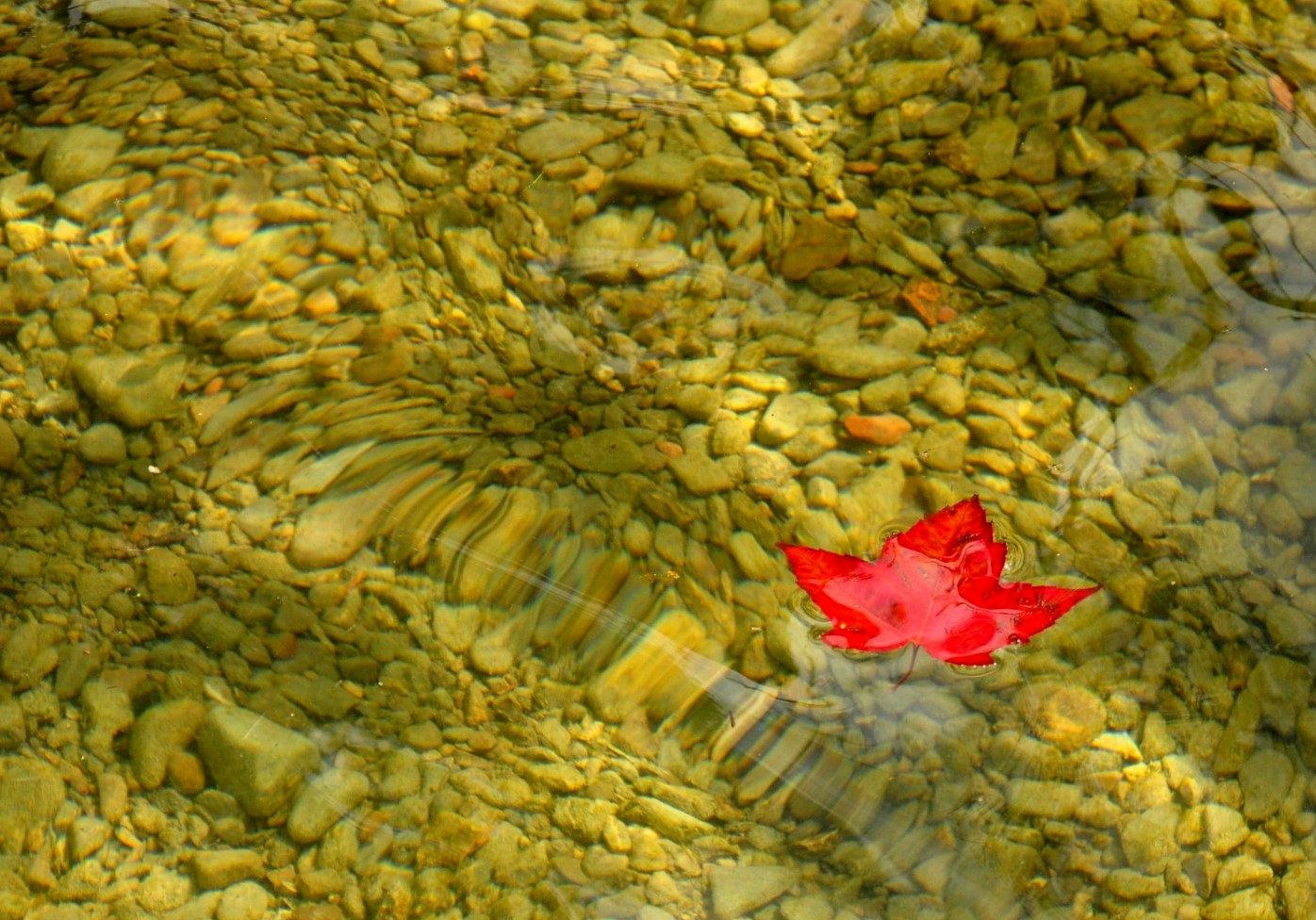 Herbstgruß