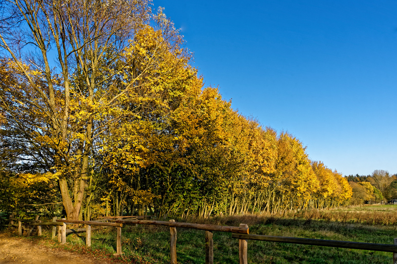 Herbstgruß