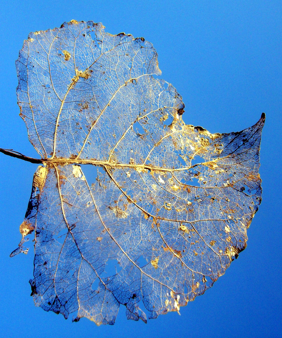 Herbstgruß