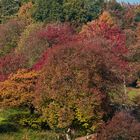 Herbstgruß aus dem Bergischen Land