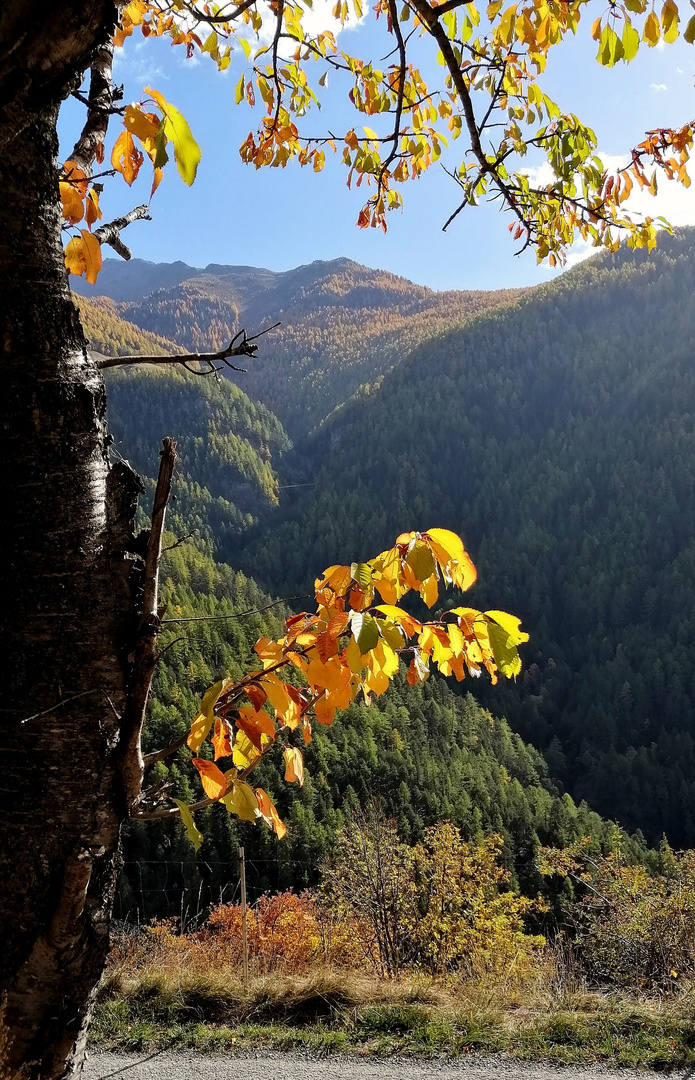 Herbstgruss aus dem Wallis 
