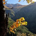 Herbstgruss aus dem Wallis 