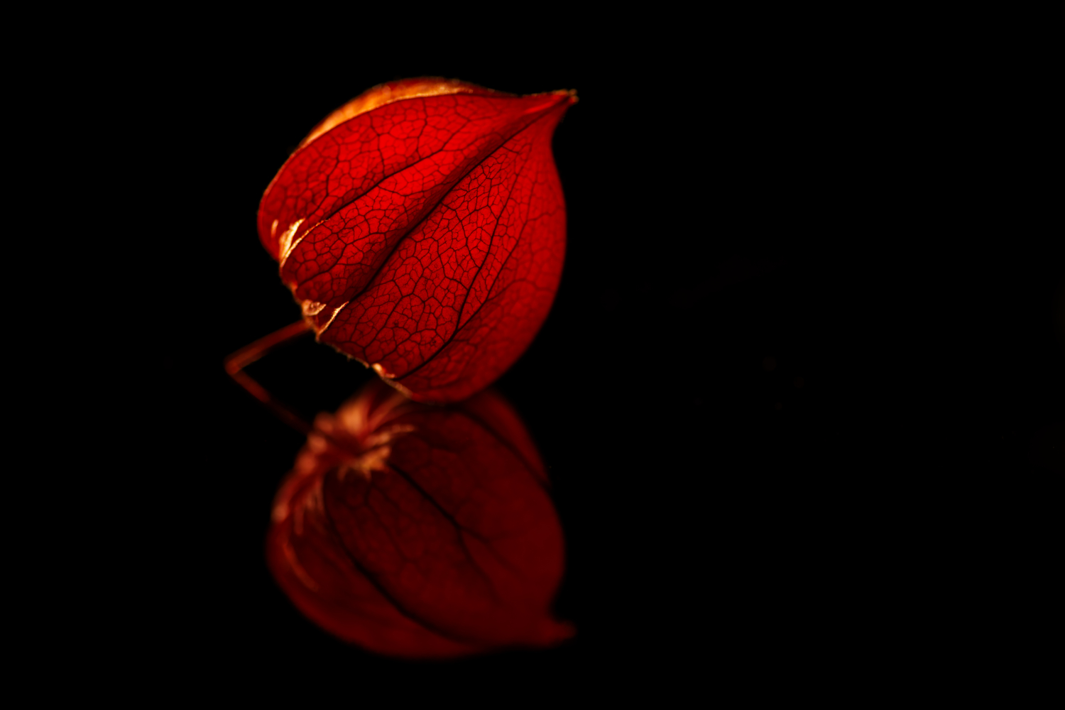 Herbstgruß