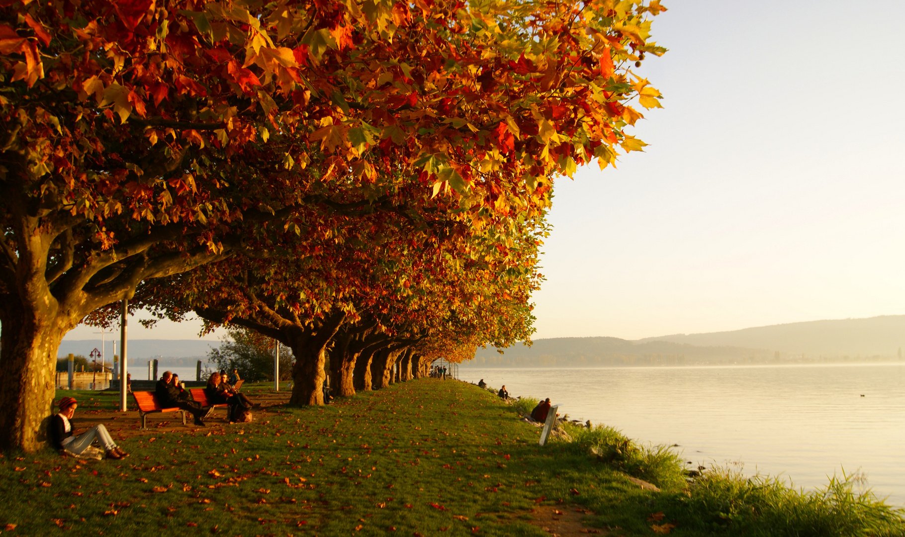 Herbstgruß