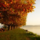 Herbstgruß