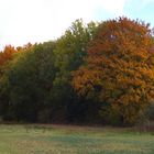 Herbstgruß