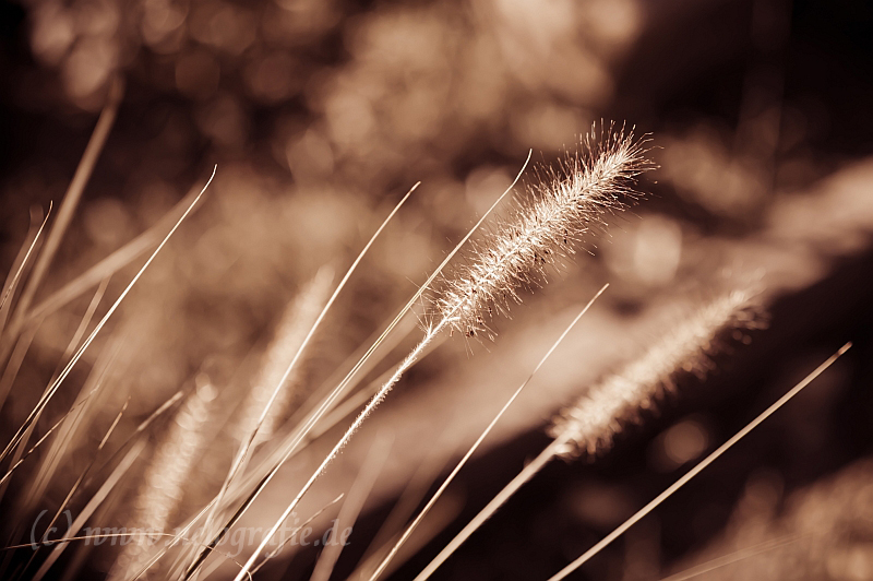 Herbstgruß