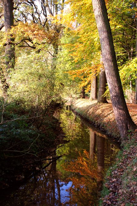 Herbstgruß