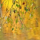 herbst.gruß