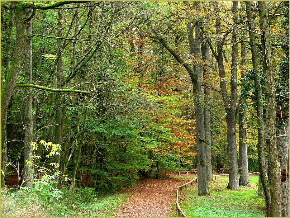 Herbstgruß.