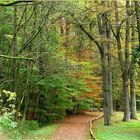 Herbstgruß.