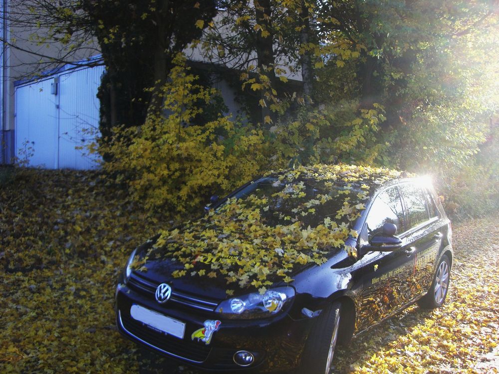 herbstgruß von Peter Grögor