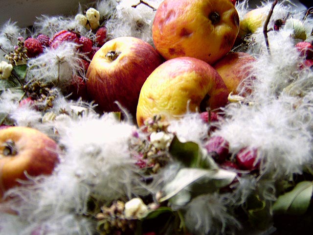 Herbstgruß . . .