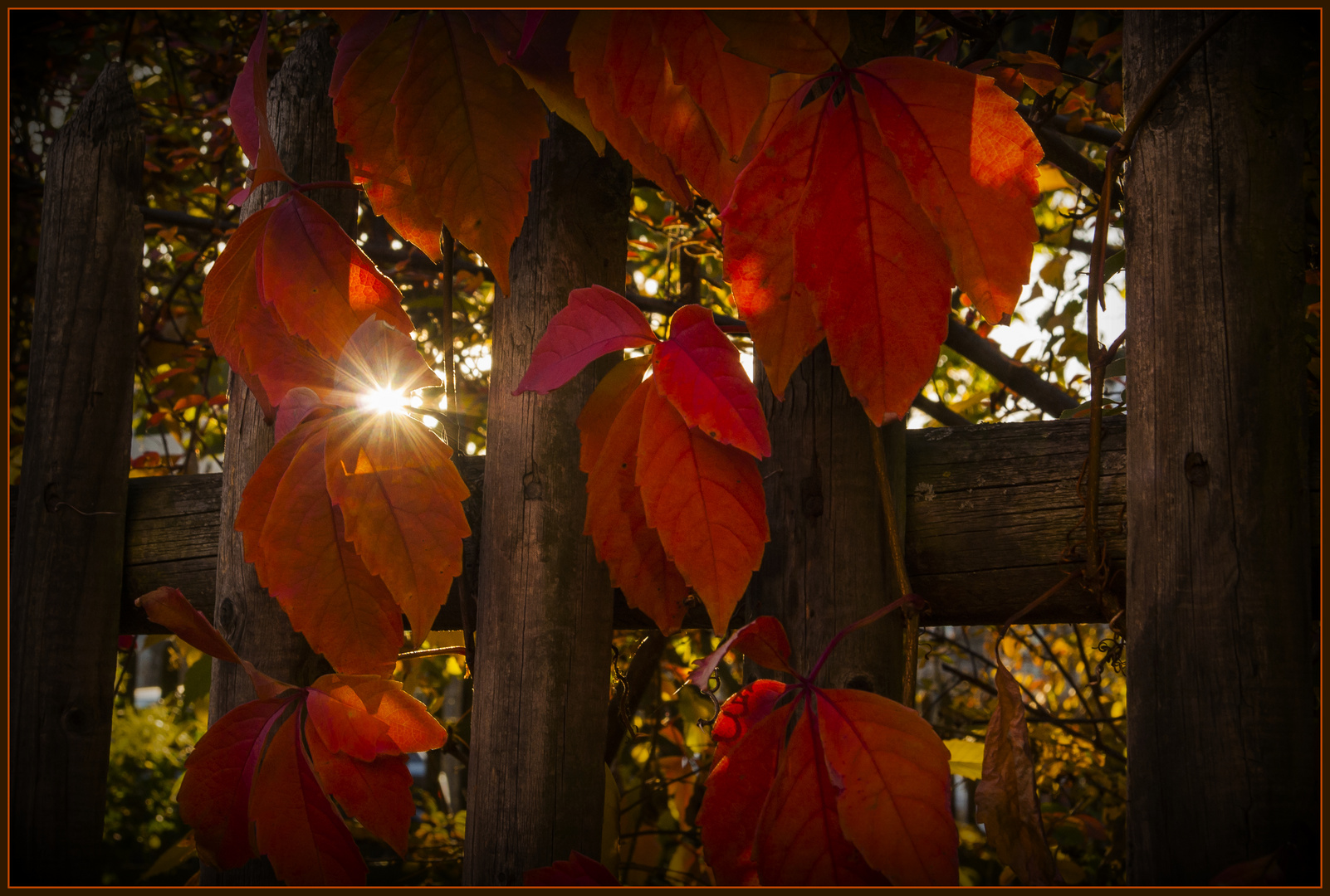 Herbstgruß