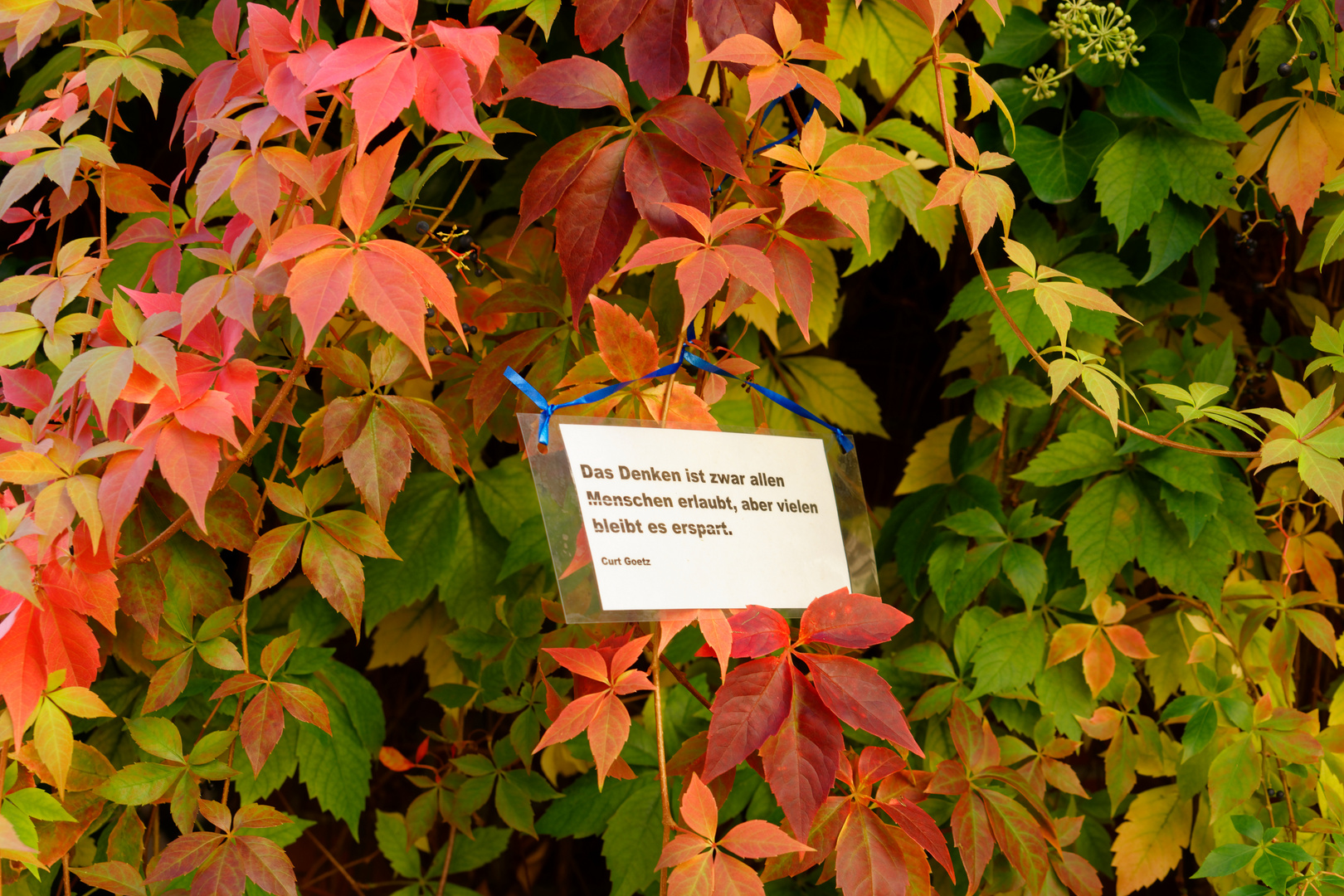 Herbstgruß