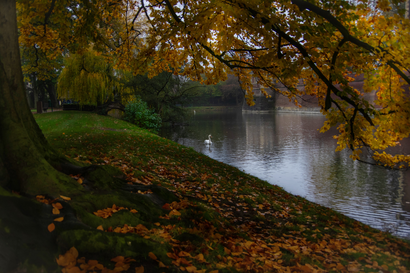 ....Herbstgruss vom Schloss Ahaus...