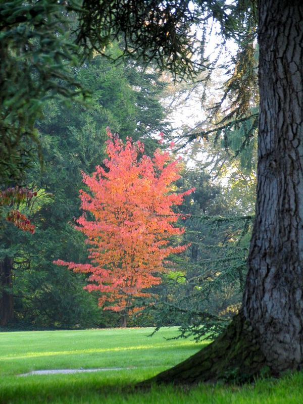 Herbstgruß1