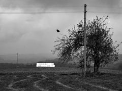 Herbst_Heiligenhaus