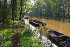 Herbsthochwasser im Spreewald