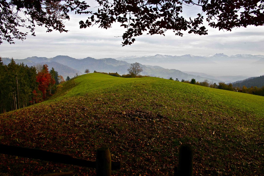 Herbsthügel