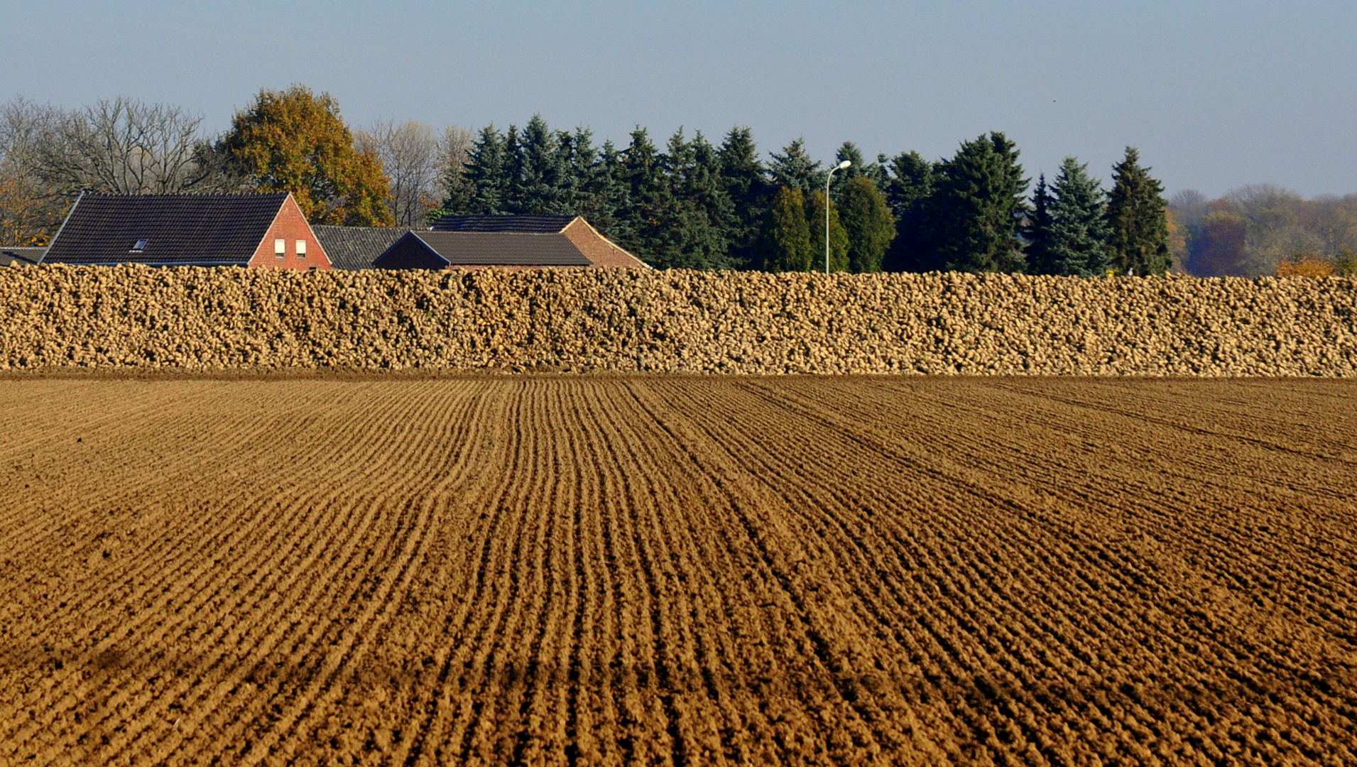 Herbsthügel am Niederrhein