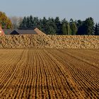 Herbsthügel am Niederrhein