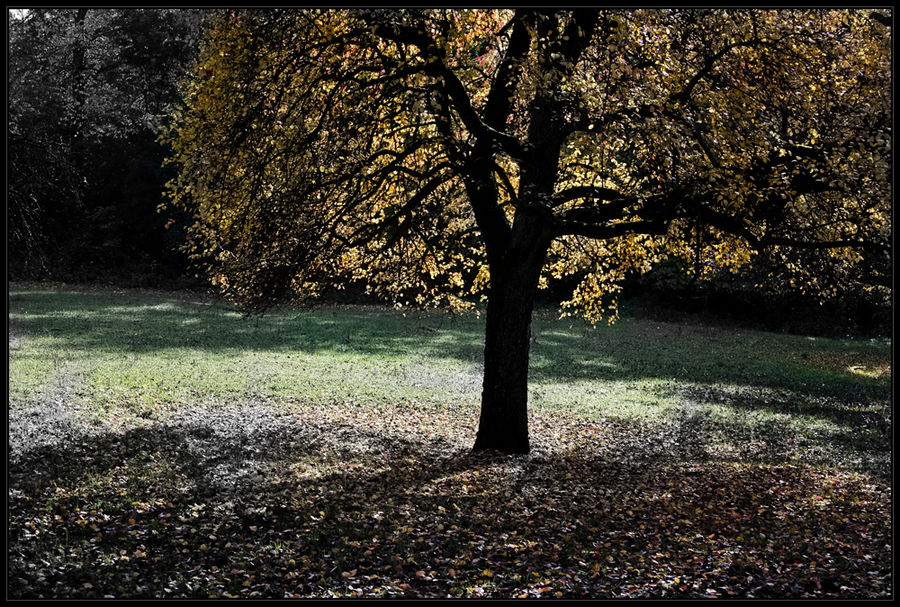 Herbst_I