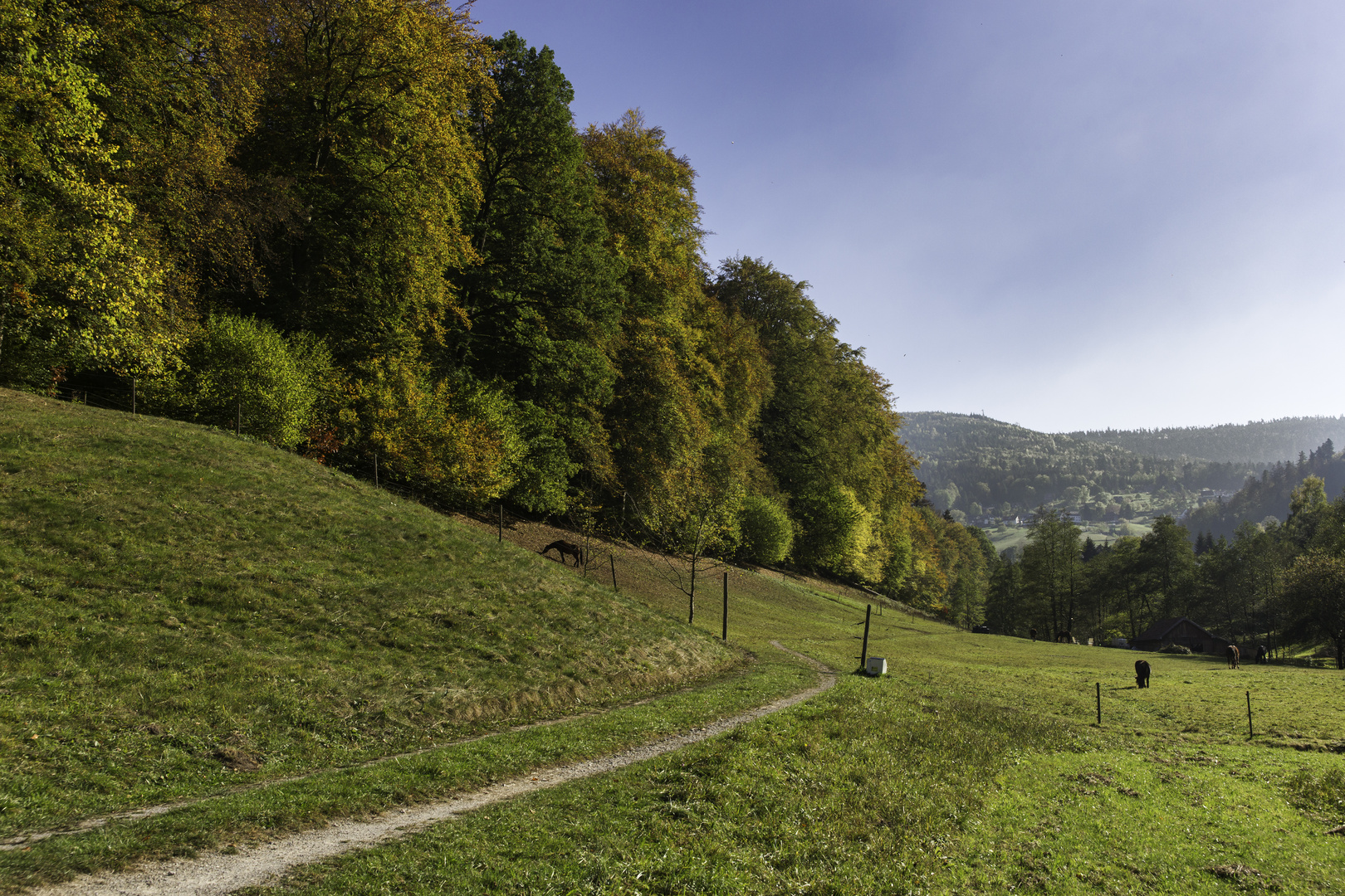 Herbstidyll im Nordschwarzwald