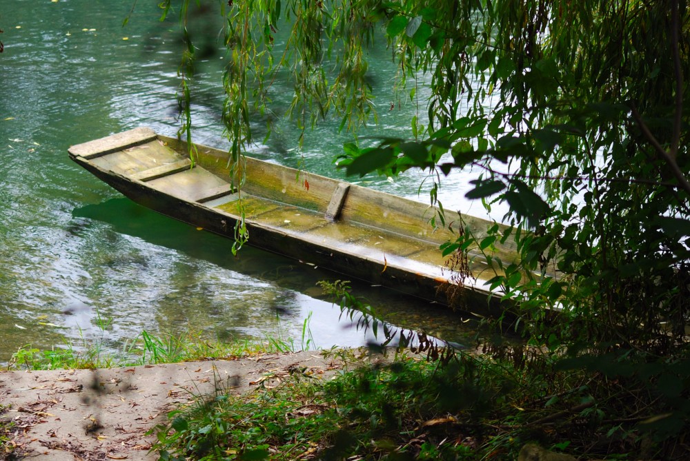 Herbstidylle am AltRhein