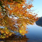 Herbstidylle am Liepnitzsee