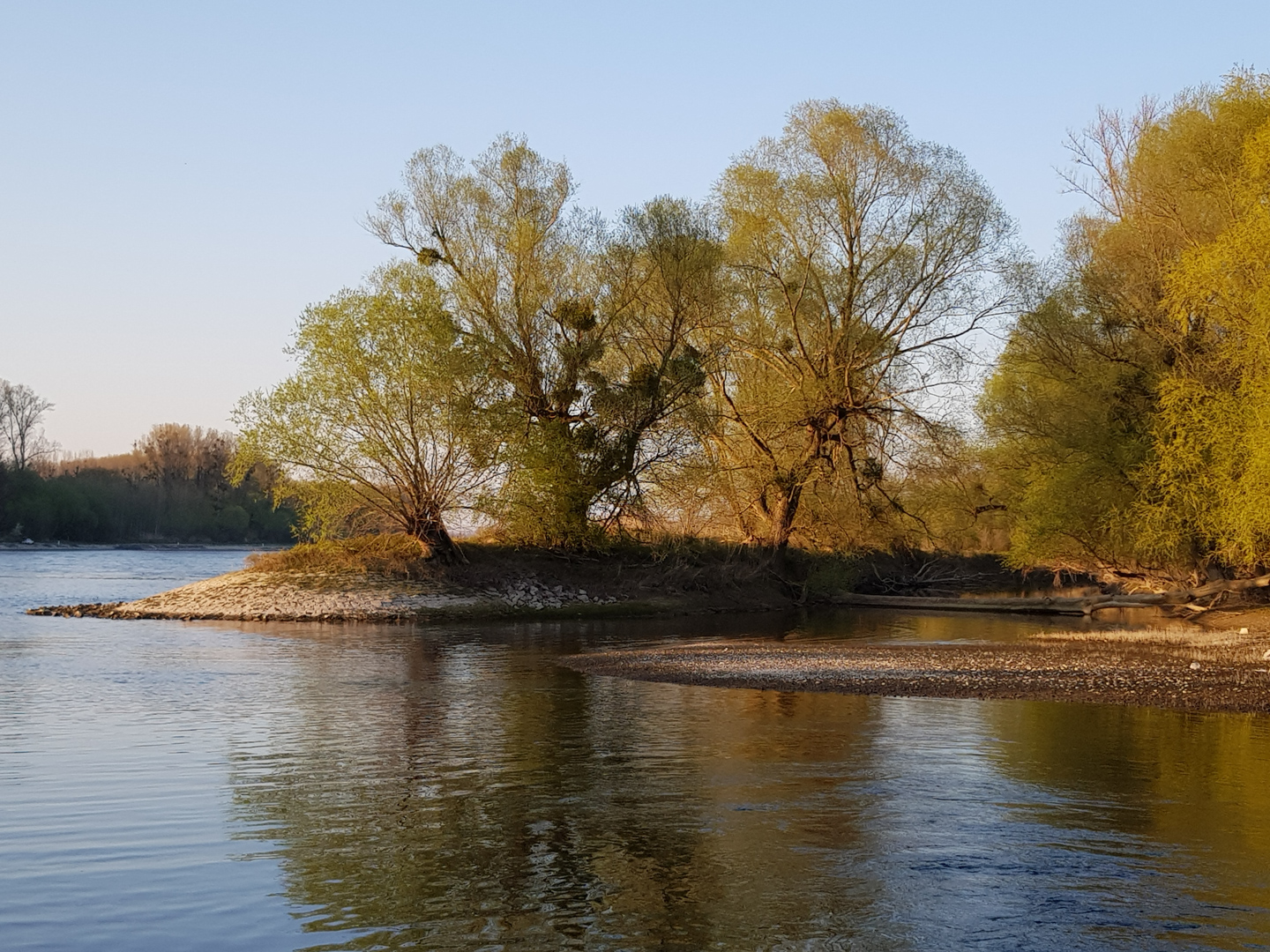 Herbstidylle am Rhein